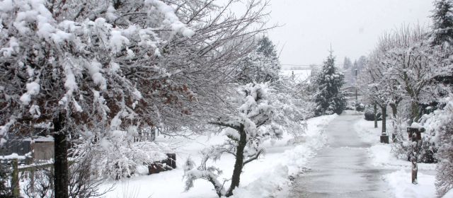 neige du 7 février 2015