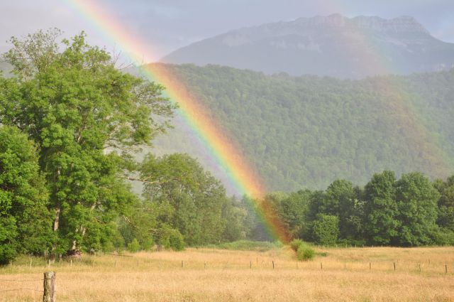 Arc en ciel au fond du pré !